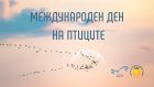 Наблюдение на хищните птици и артзанимания ще бъдат организирани в Зоологическата градина в София Наблюдение на хищните птици и артзанимания ще бъдат организирани в Зоологическата градина в София